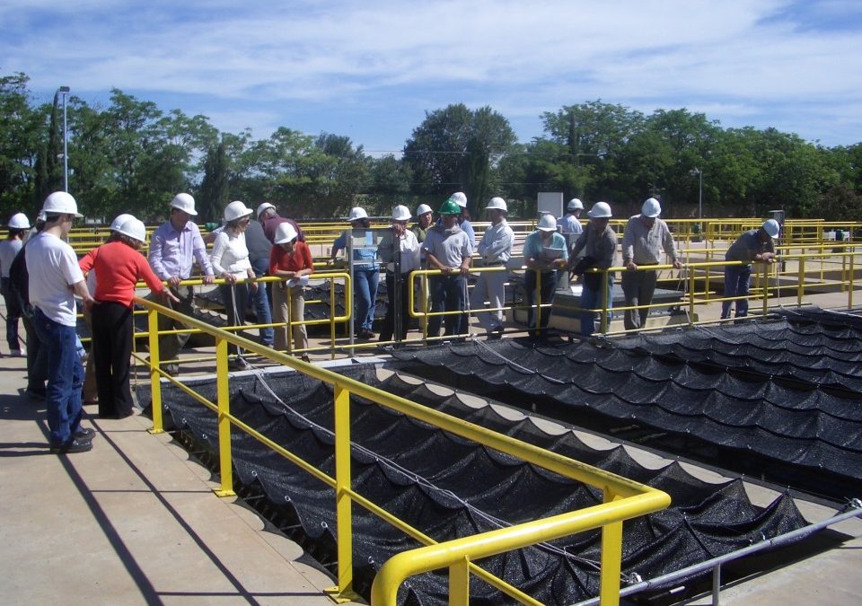 TRAYECTO DE POSTGRADO TRATAMIENTO DE AGUA Y EFLUENTES