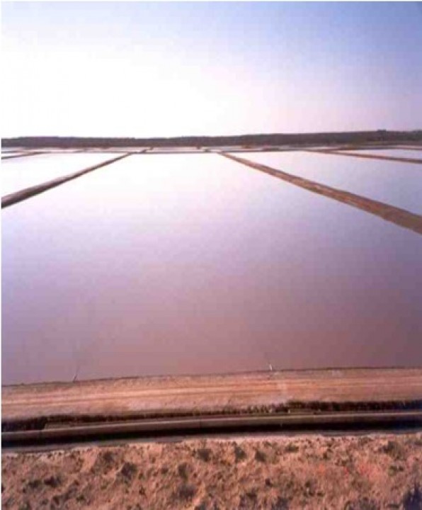 EL CIS CONCLUYO EL ANTEPROYECTO AVANZADO DE LAS LAGUNAS DE ESTABILIZACIÓN