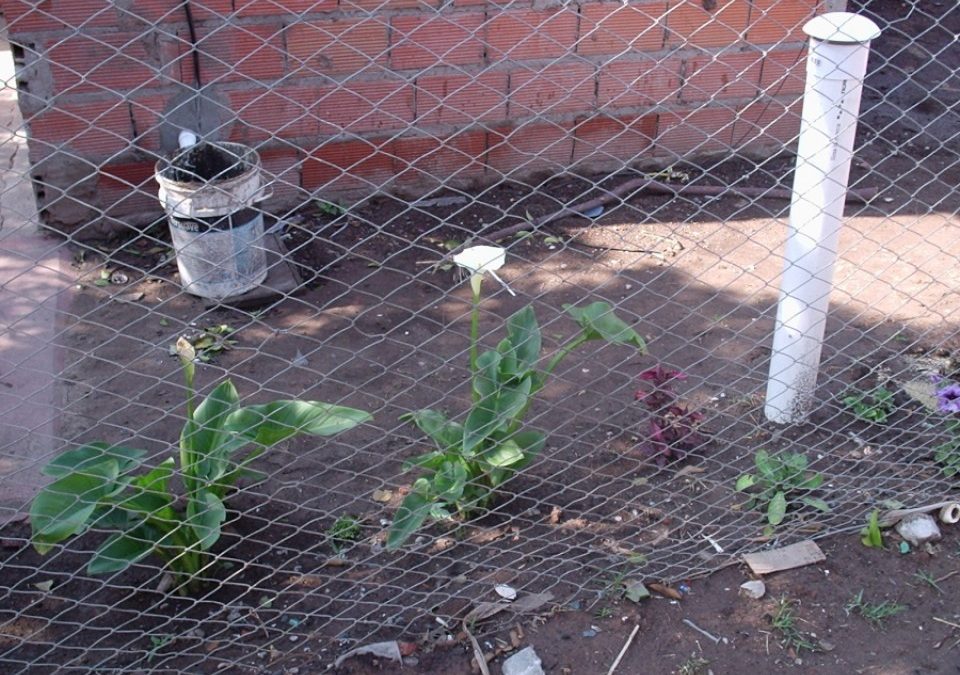 JARDINES DE AGUAS GRISES