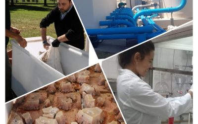 DÍA DEL INVESTIGADOR CIENTÍFICO