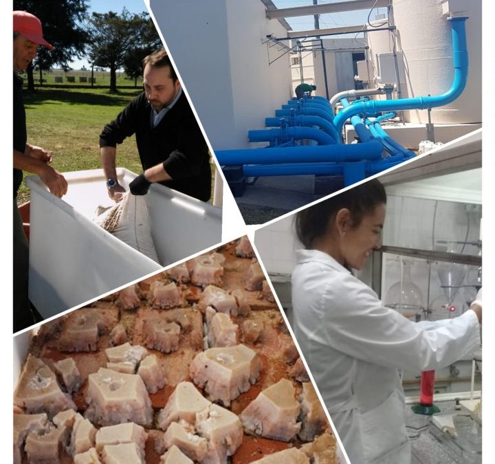 DÍA DEL INVESTIGADOR CIENTÍFICO