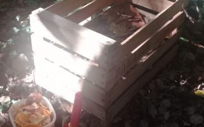 MES DEL COMPOSTAJE.